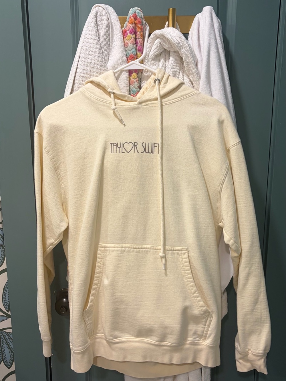Taylor Swift The Eras Tour Heart Photo Hoodie